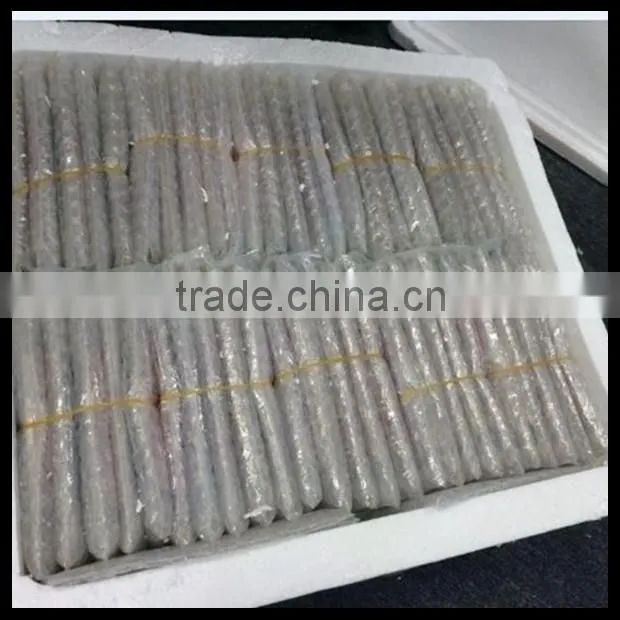 20% Discount !! Fast delivery Wholesale price touch screen lcd digitizer for iphone 5s