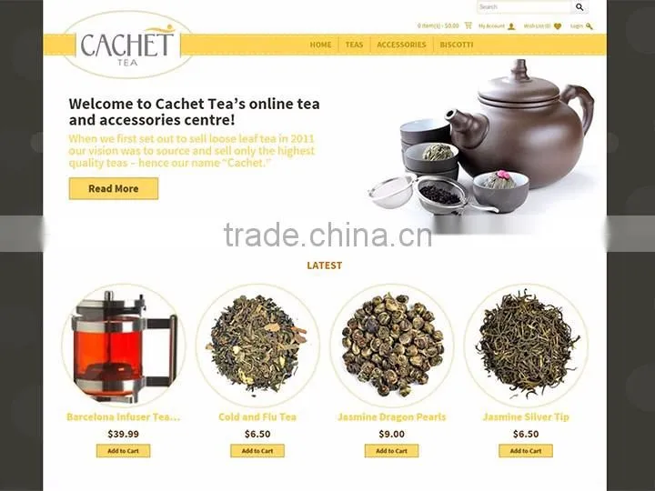 Ecommerce Website Development