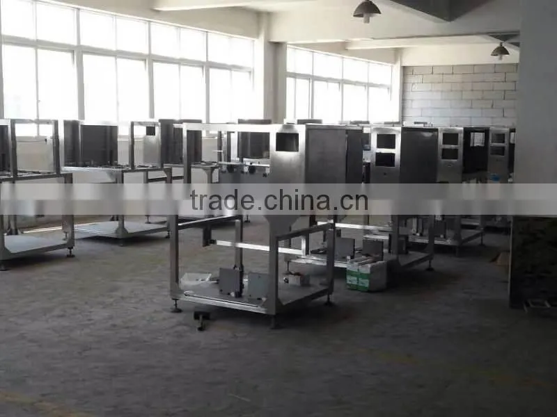 Auto competitive1kg bag packing machine