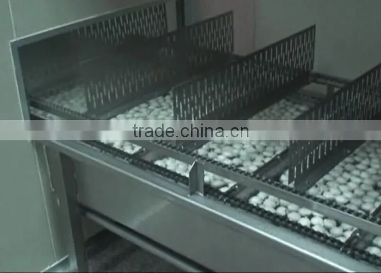 Fish ball machine