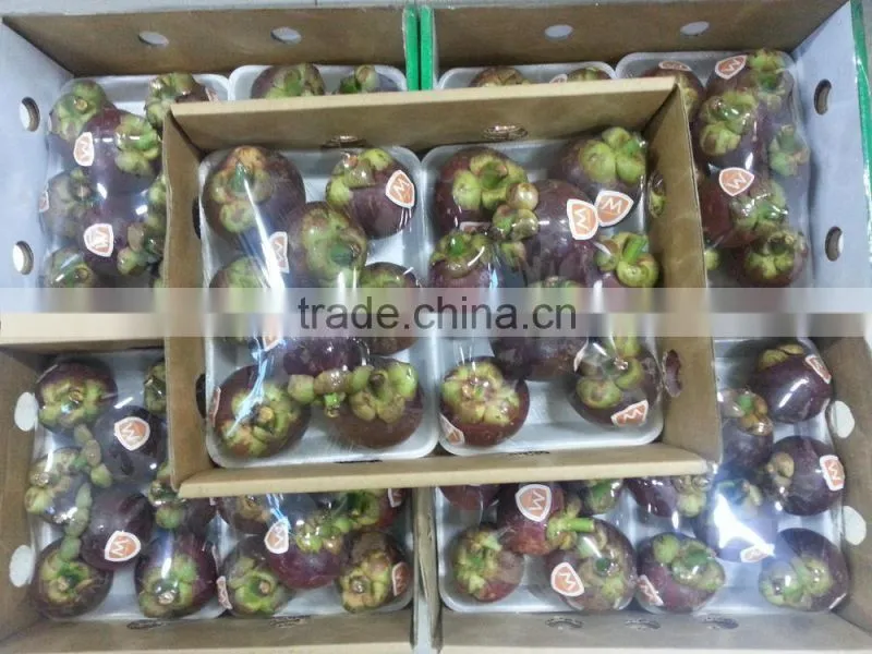 Fresh Tropical Fruit Sweet From Vietnam