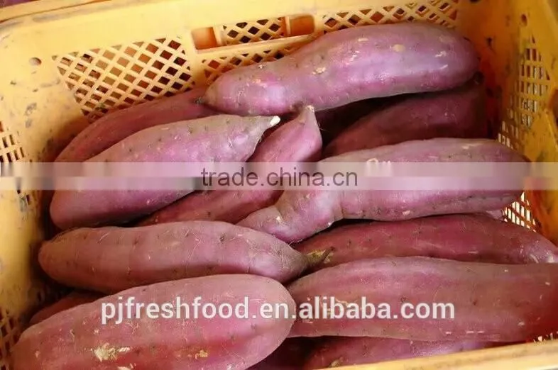 Fresh Sweet purple Potato/red skin potato