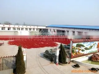 Zhecheng County Chunhai Chilli Foodstuff Co., Ltd. company overview - view 2