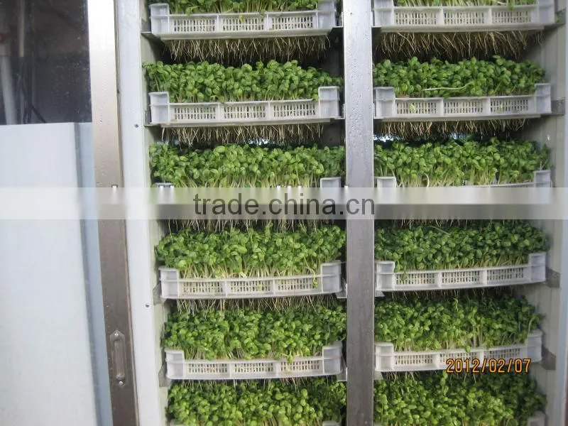 bean sprout factory/sprout maker