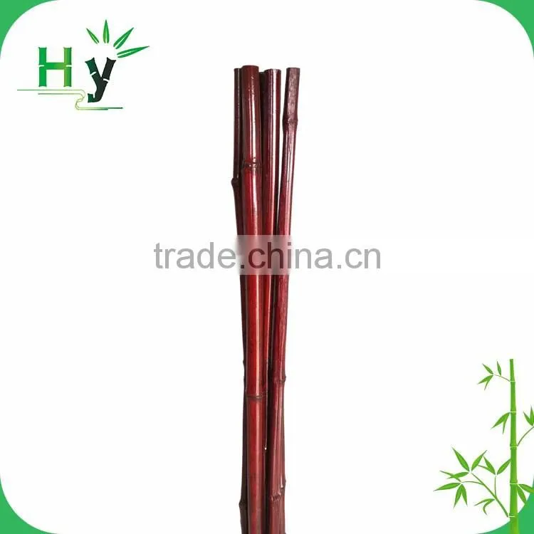 Bamboo pole ++++