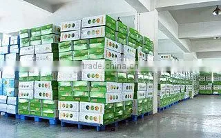 High Quality 16L Backpack Sprayer Agriculture battery Sprayer