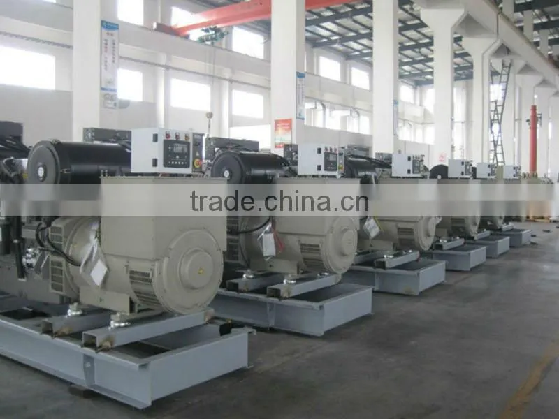 High Quality ! 2mw Generator