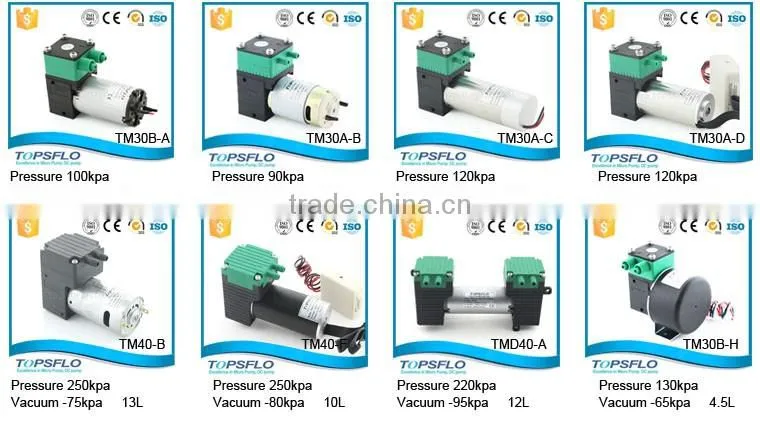 6v 12v 24v dc micro air pump
