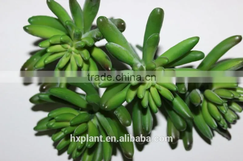 artificial succulent plants making