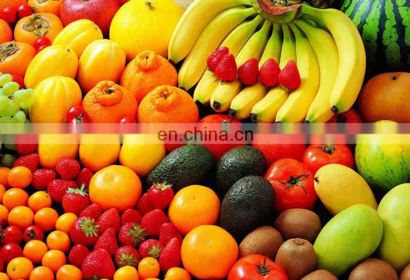 Electric vegetable and fruit washing machine for fresh fruits and vegetables