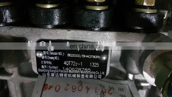 Fuel Injection Pump BQ2000 / BH4QT80R9 4QT72bz-1