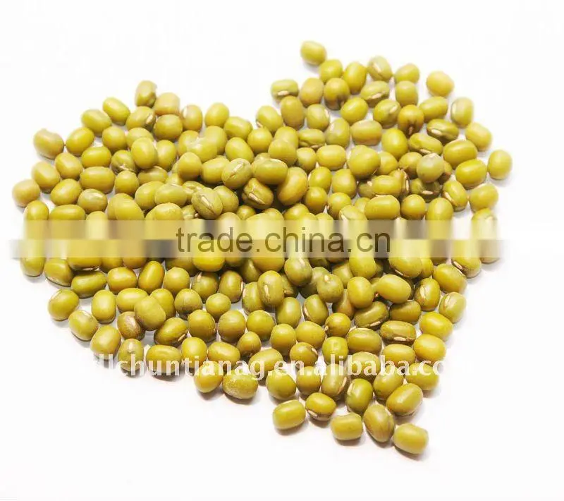 organic green mung bean