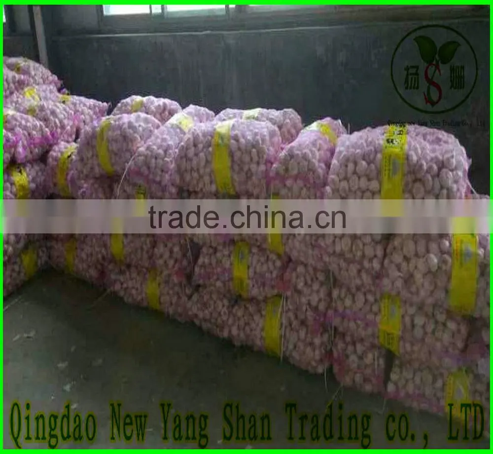 2015 Fresh Garlic/100% Natural Garlic