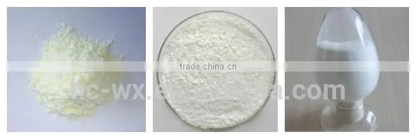 Belt vacuum powder continuous dryer for phytosterol