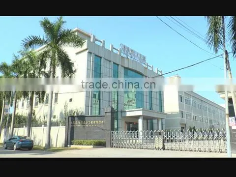 Dongguan Golden Tiger Multi-Media Co., Ltd. company overview - view 1