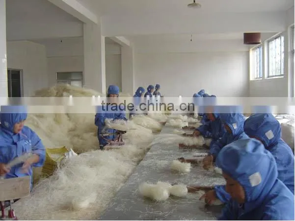 Chinese Longkou Green bean vermicelli