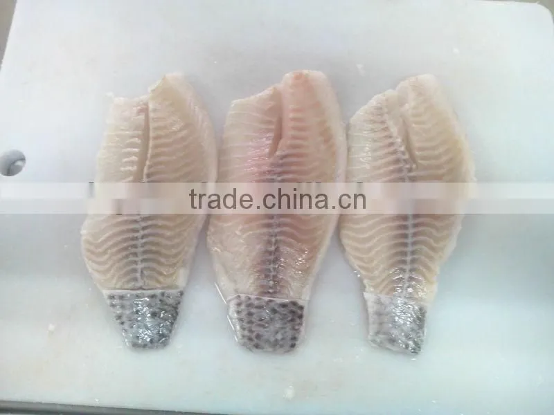 Frozen Tilapia fillet
