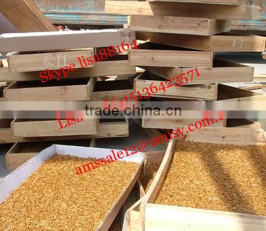 Automatic Multifunctional yellow mealworm Separator