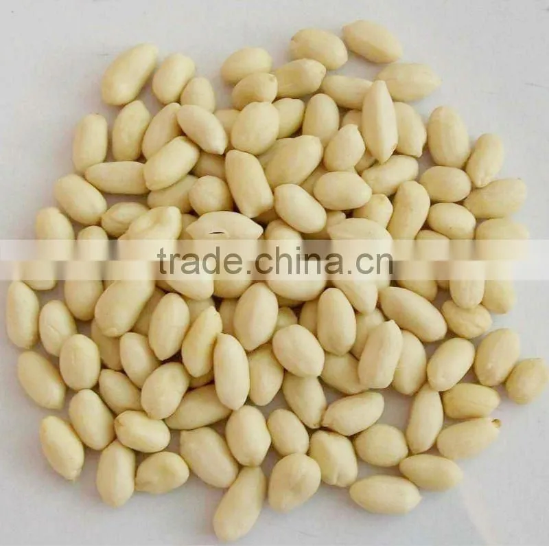 Blached Peanut Kernel