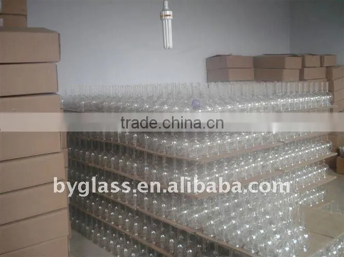 Nice double wall borosilicate glass cup