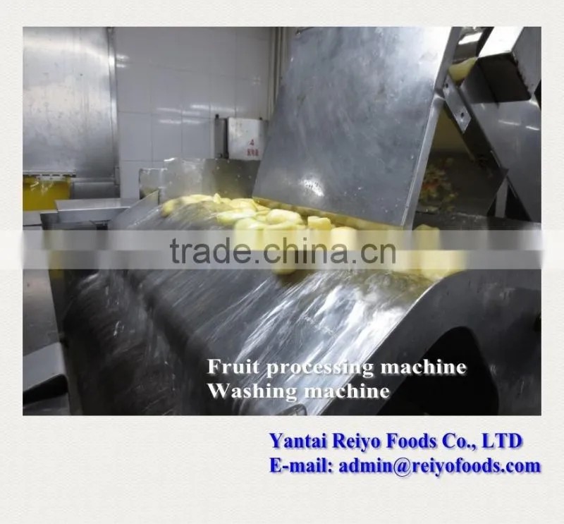 impurity removing and cleaning machine / fruits and vegetables cleaning machine