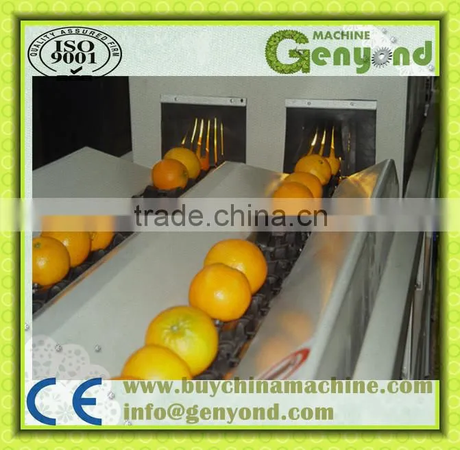 orange opto-electronic grading line