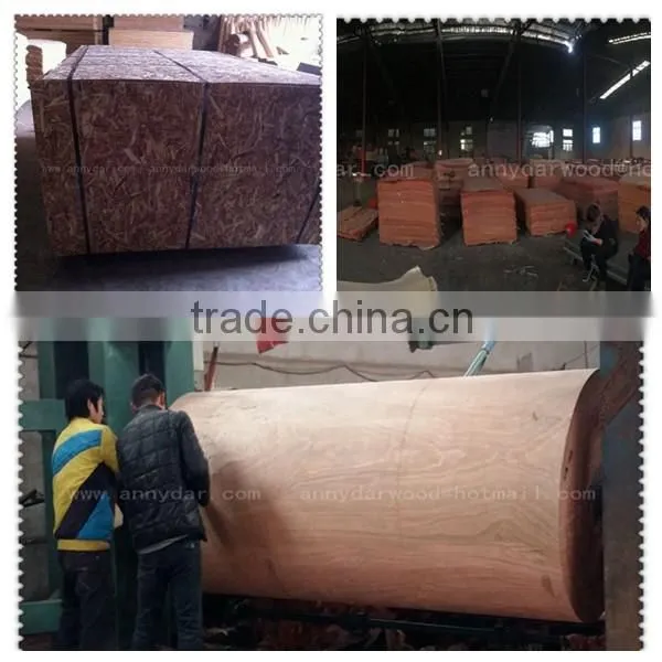 rotary cut Water gum wood veneer with cheap price 0.5mm