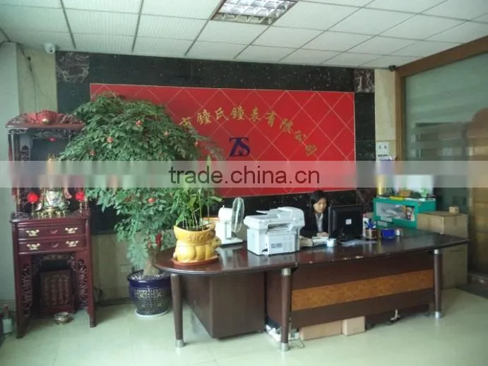 Shenzhen Zhongshi Watch Co., Ltd. company overview - view 2