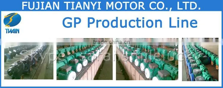 GP200 0.32HP Wate Pump