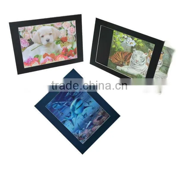 3D lenticular pictures with Frame Custom 3D lenticular art