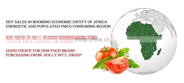 NAFDAC Tomato Paste Brix 28-30% canned 70g - 4500g high quality for Nigerian high end buyer market