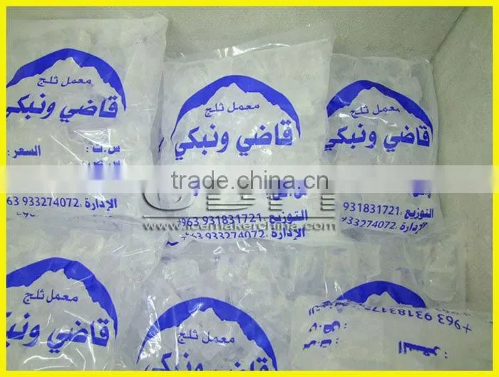 Convenience to install 3000kg cube ice machine to frozen fish