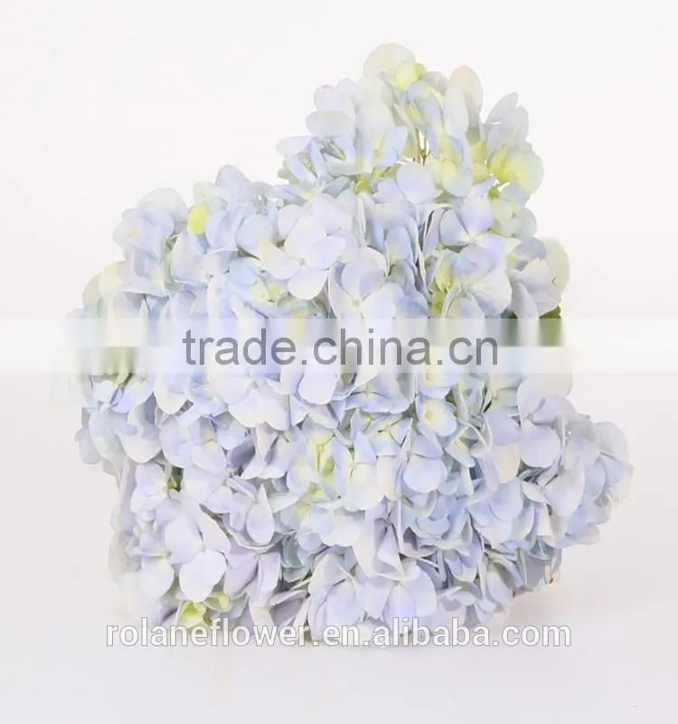 Low Price And High Quality Natural White Hydrangea Hydrangeas For Wedding From Kunming, Yunnan
