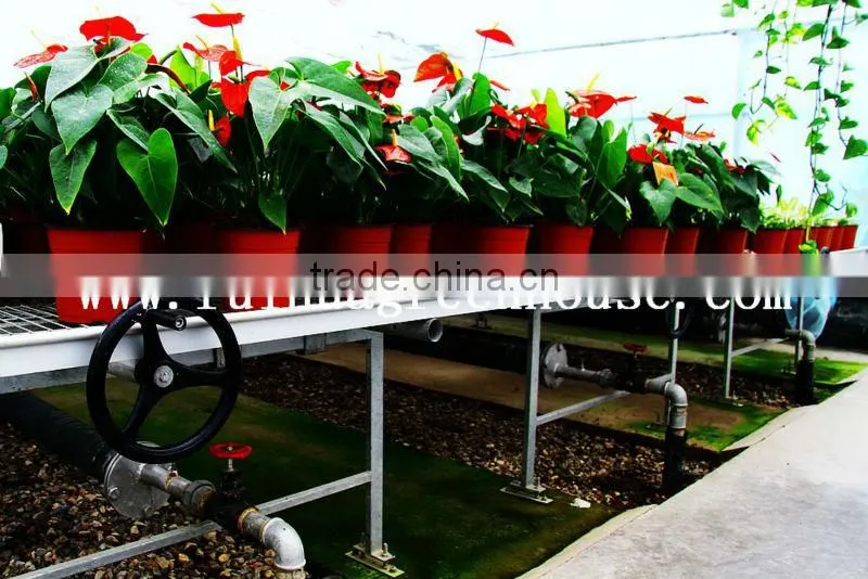 Agricultural Greenhouse Mobile Bench