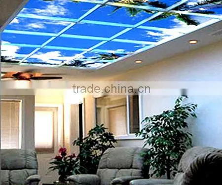 dx5/dx7 head high resolution Stretch ceiling flim printer