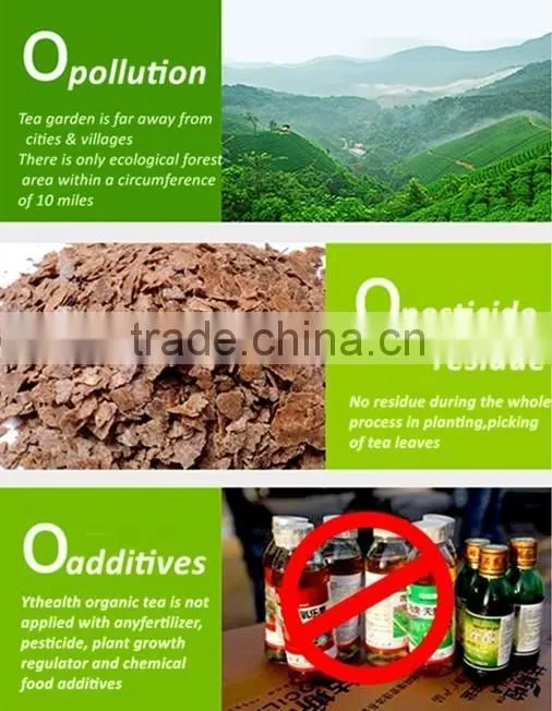 Superior Range of Organic Green Tea Available from Certified Henan Company