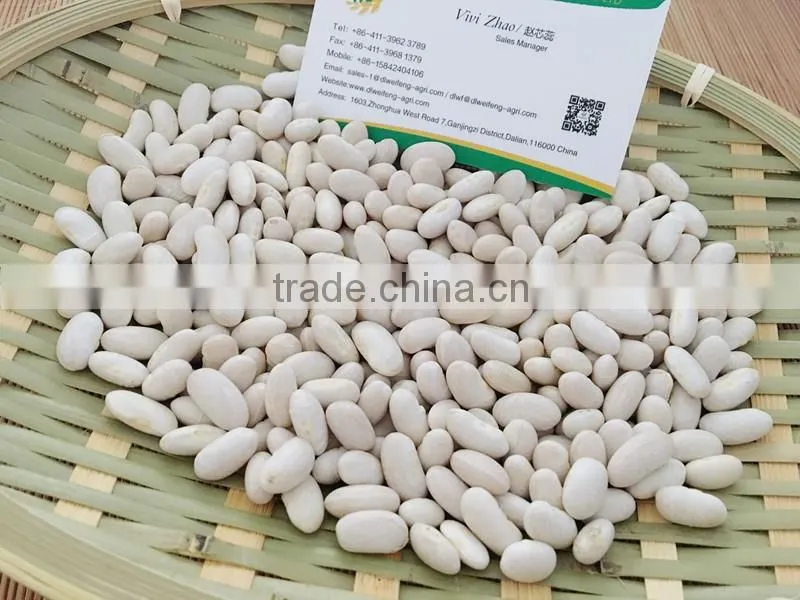China Spanish White Kidney Beans