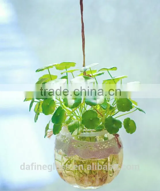 Pumpkin Shape Glass Vase Bottle for plant With Metal Handle Candle Hydroponic/Home Decoration