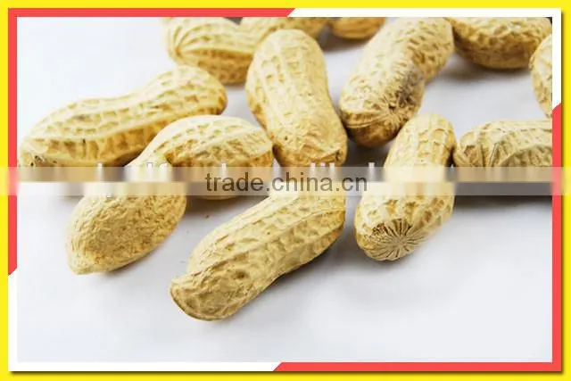 Alibaba China roasted peanut in shell roasted and salted peanuts shell