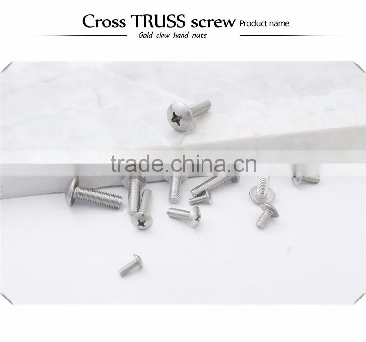 Different Sizes 304 stainless steel cross recessed truss head screw