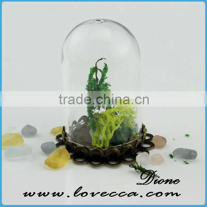 New christmas product wholesale fashion plant glass domes wholesae