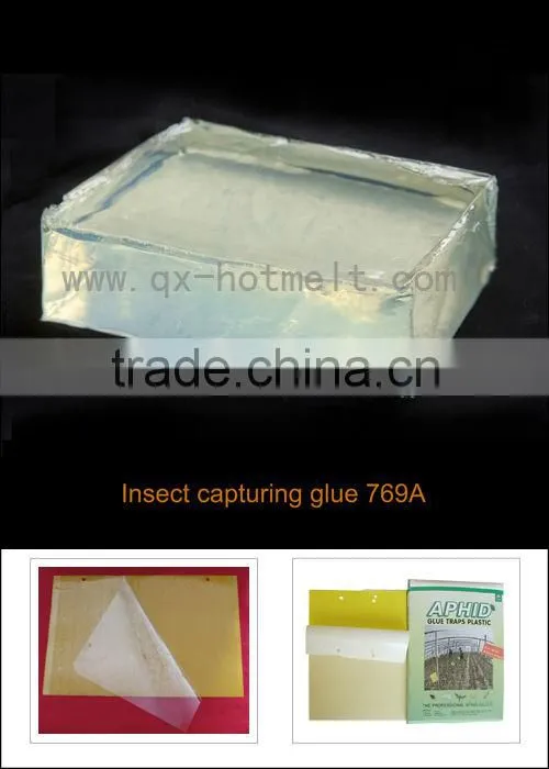 Camping use hot melt glue for insect capturing