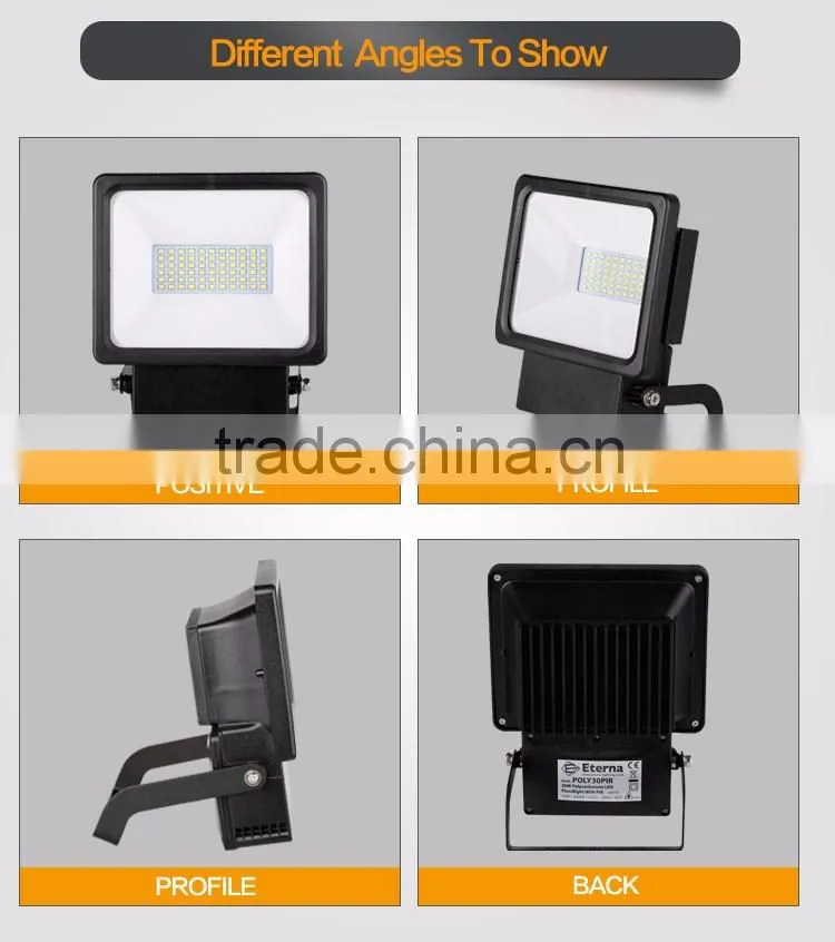 High bright 30W cranked bracket LED Floodlight