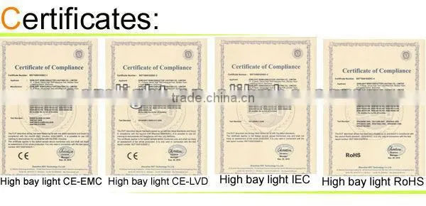 100W Single Arm Pole PWM Controller LED Solar Street Lamp