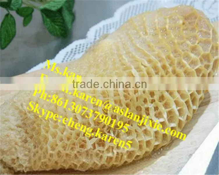 cow tripe washing machine/OX Tripe washing machine