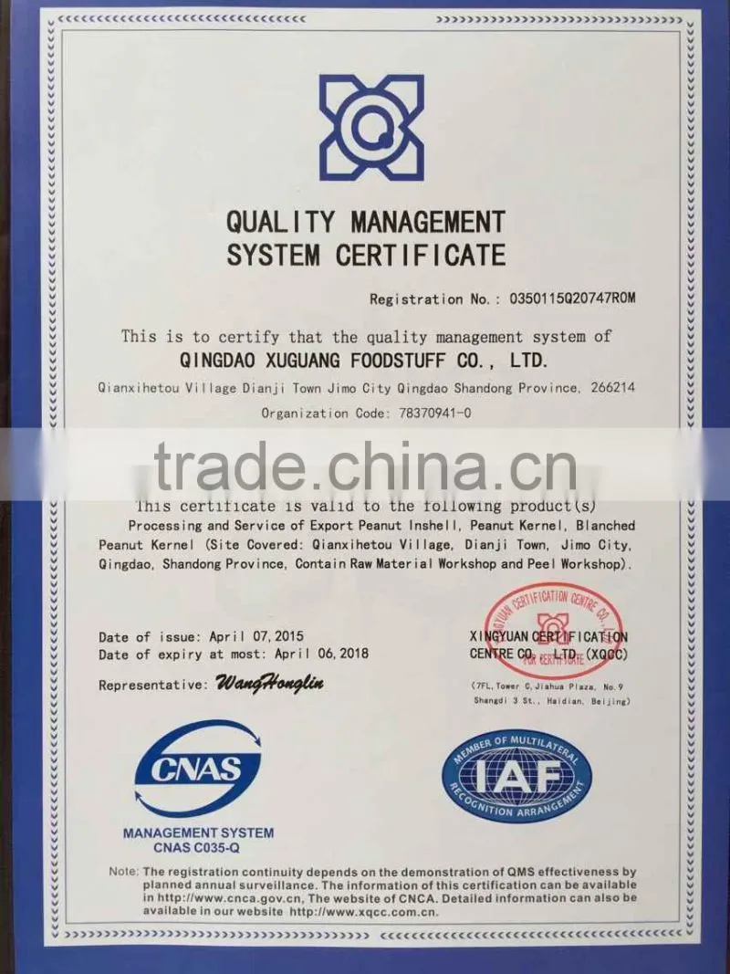 Shandong good quality blanched peanut
