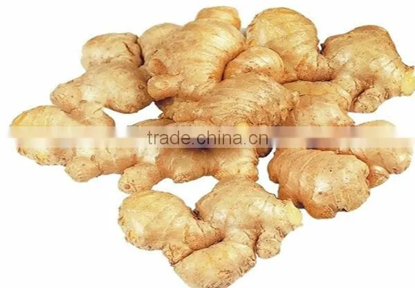 Ginger Extract