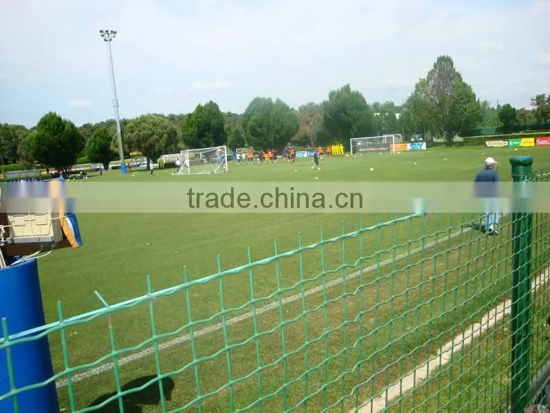 Fence Mesh Application and Galvanized Iron Wire Material 8/6/8 Double Wire Fence