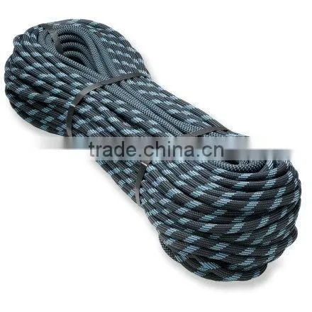 dolphin ropes