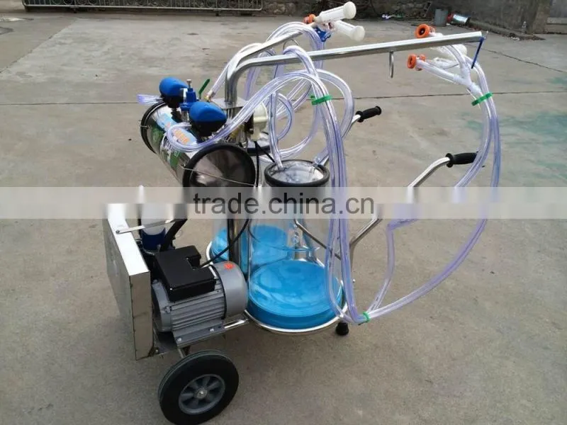 piston double bucket milk machine